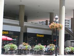 toronto (78)